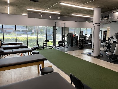 Back To Work Physical Therapy - South Tampa